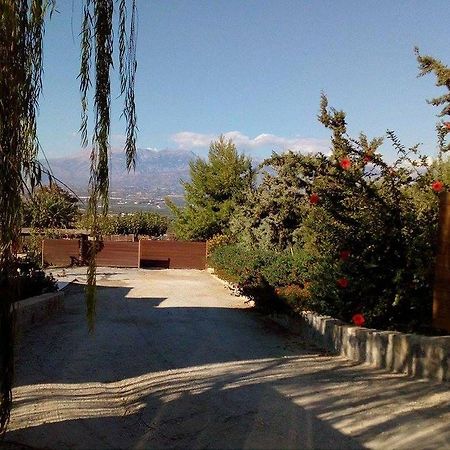 House Veggera - Private Swimming Pool Konuk evi Pombia Dış mekan fotoğraf